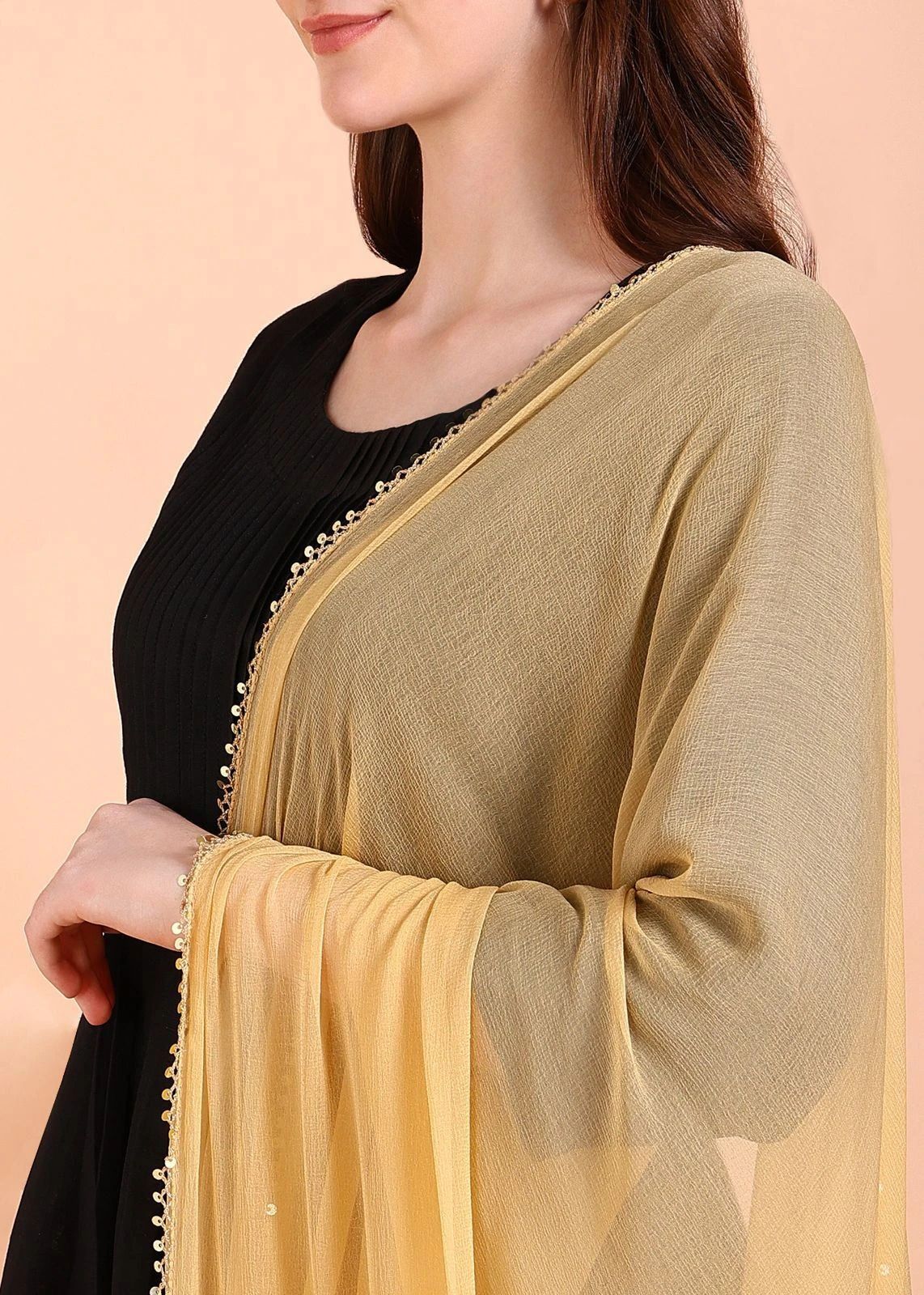 Chiffon Embellished Beige Women Dupatta-image-10