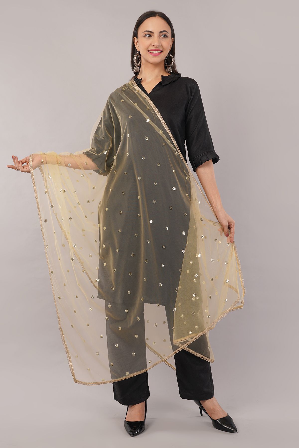 Net Embroidered Beige Women Dupatta-image-14