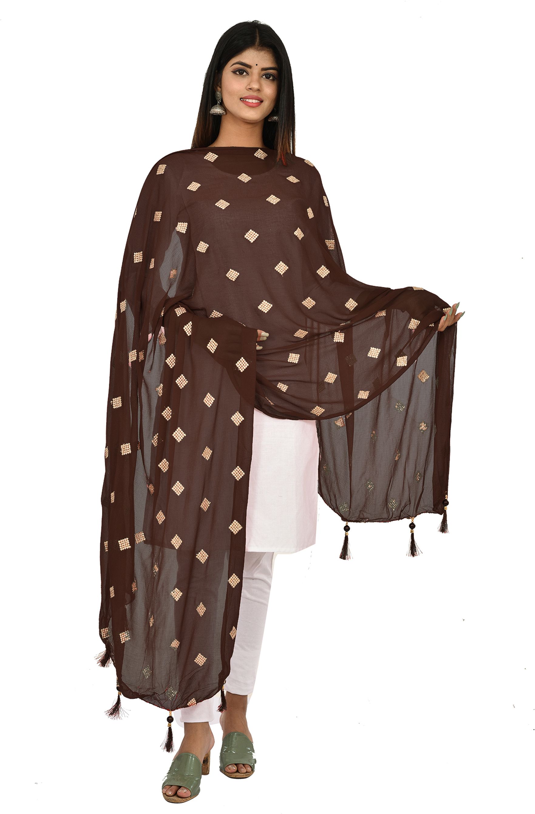 whiteheaven Chiffon Embroidered Brown Women Dupatta-picture-44