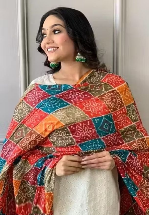 Cotton Silk Printed Multicolor Women Dupatta-image-10