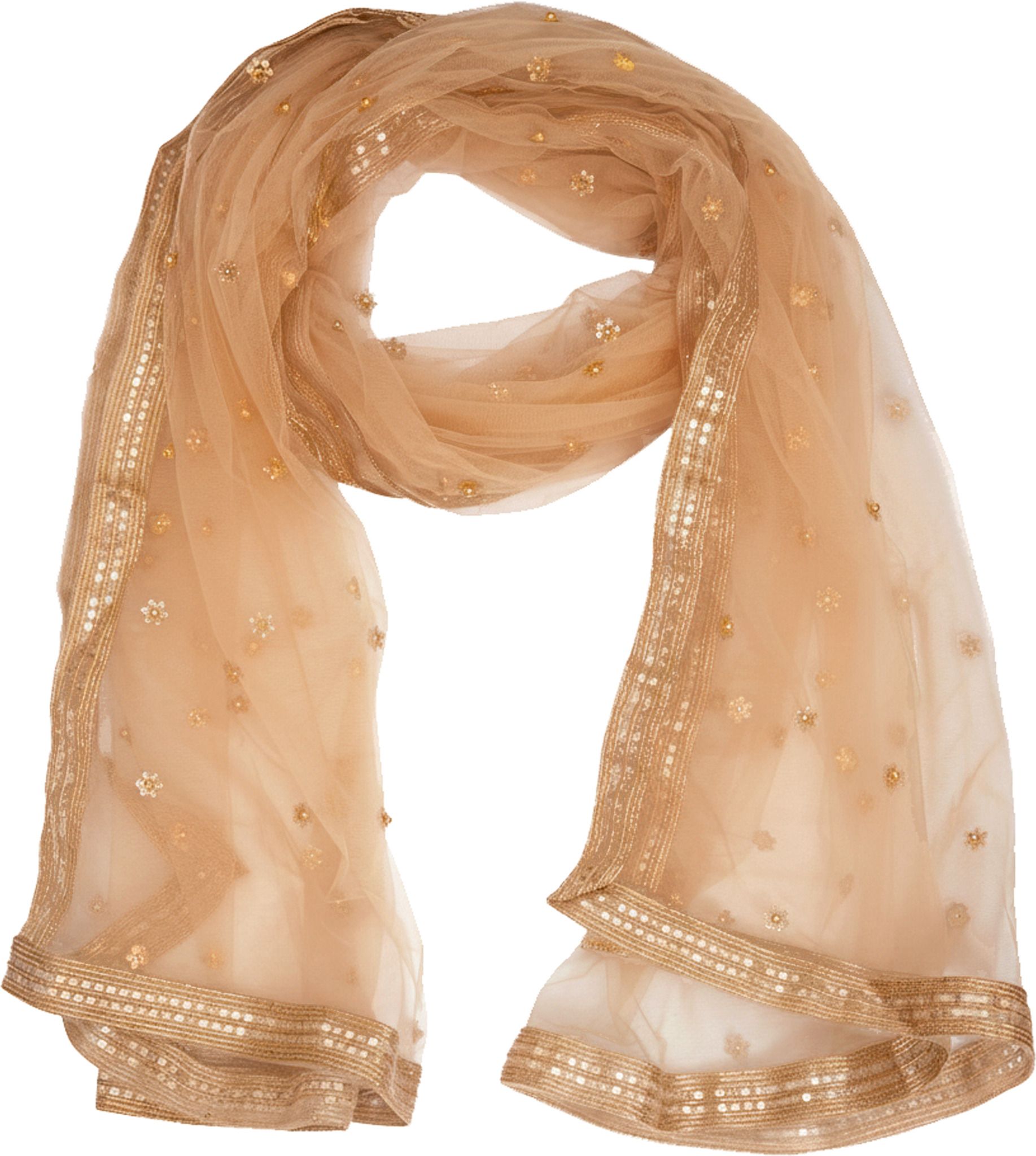 whiteheaven Net Embroidered Gold Women Dupatta-picture-47