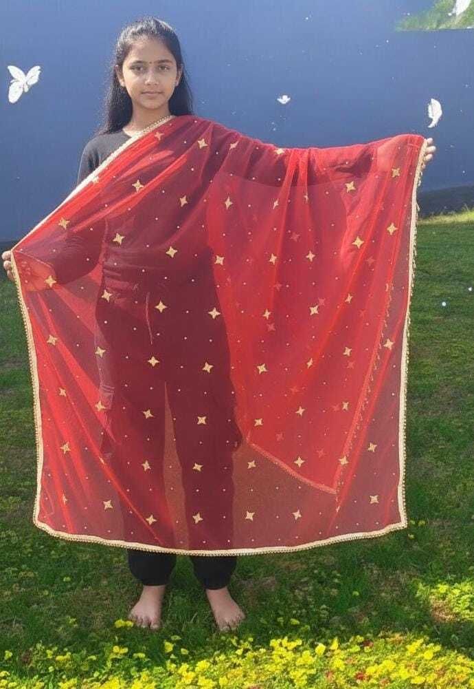 Net Self Design Red Women Dupatta