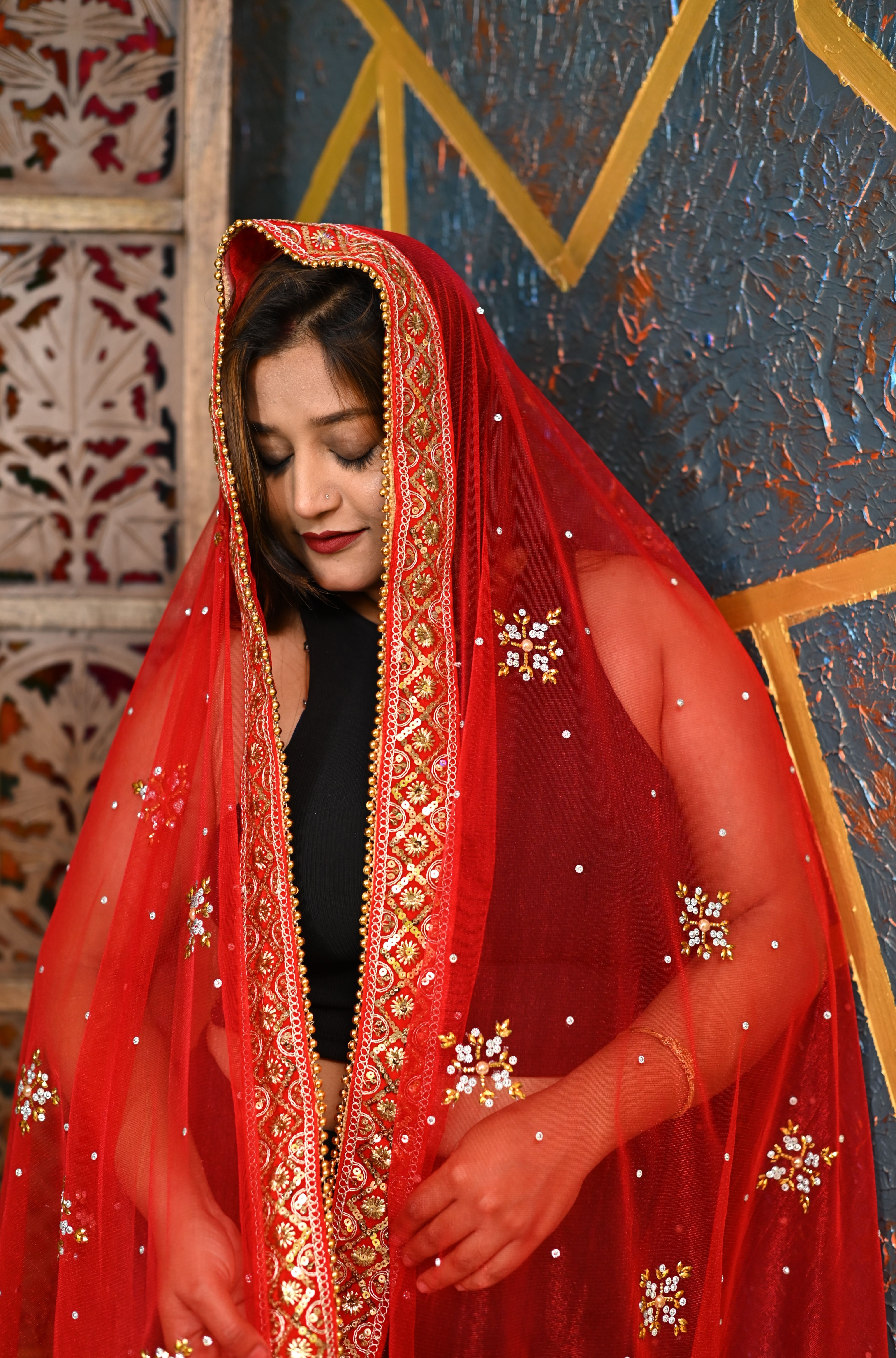 faruk dresses Net Self Design Red Women Dupatta-picture-40