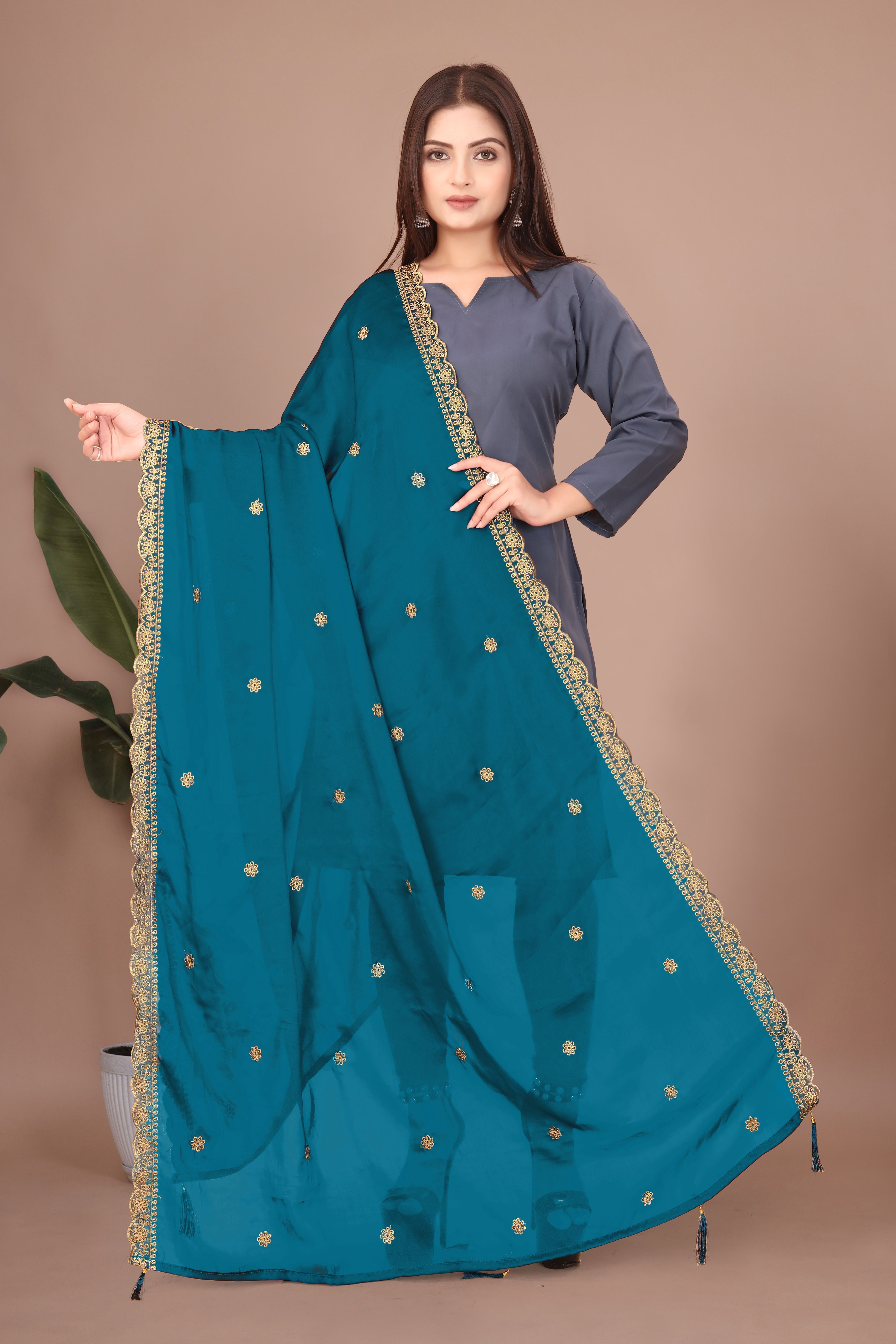 vastra Georgette Embroidered Blue Women Dupatta-picture-9