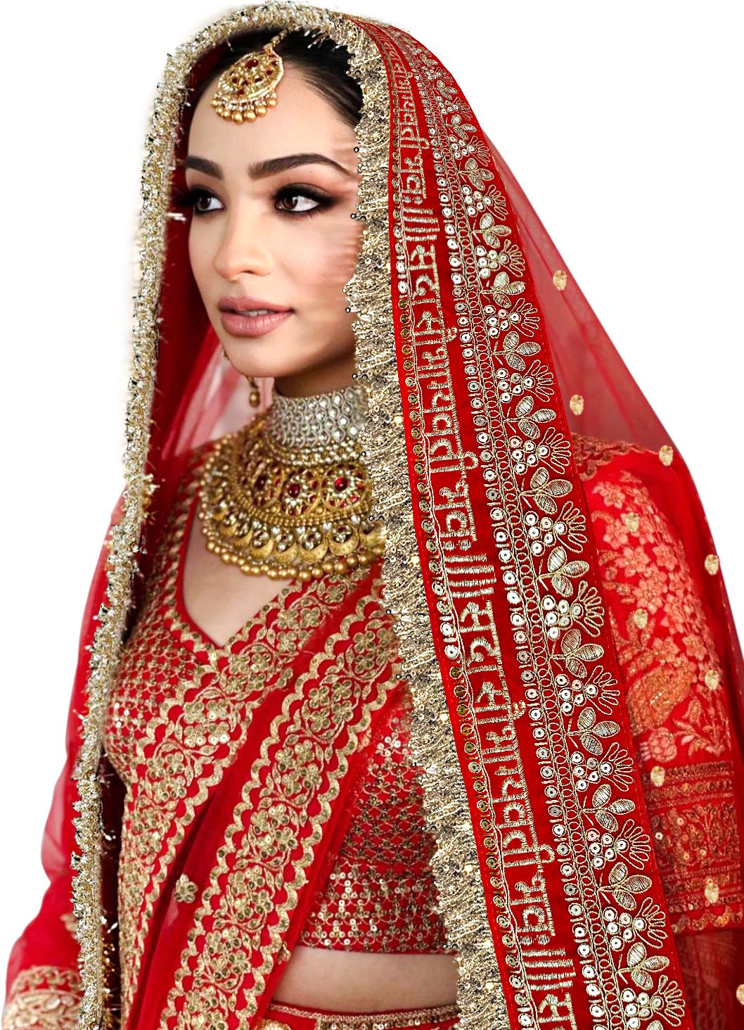 kaevion Net Self Design Red Women Dupatta-picture-37