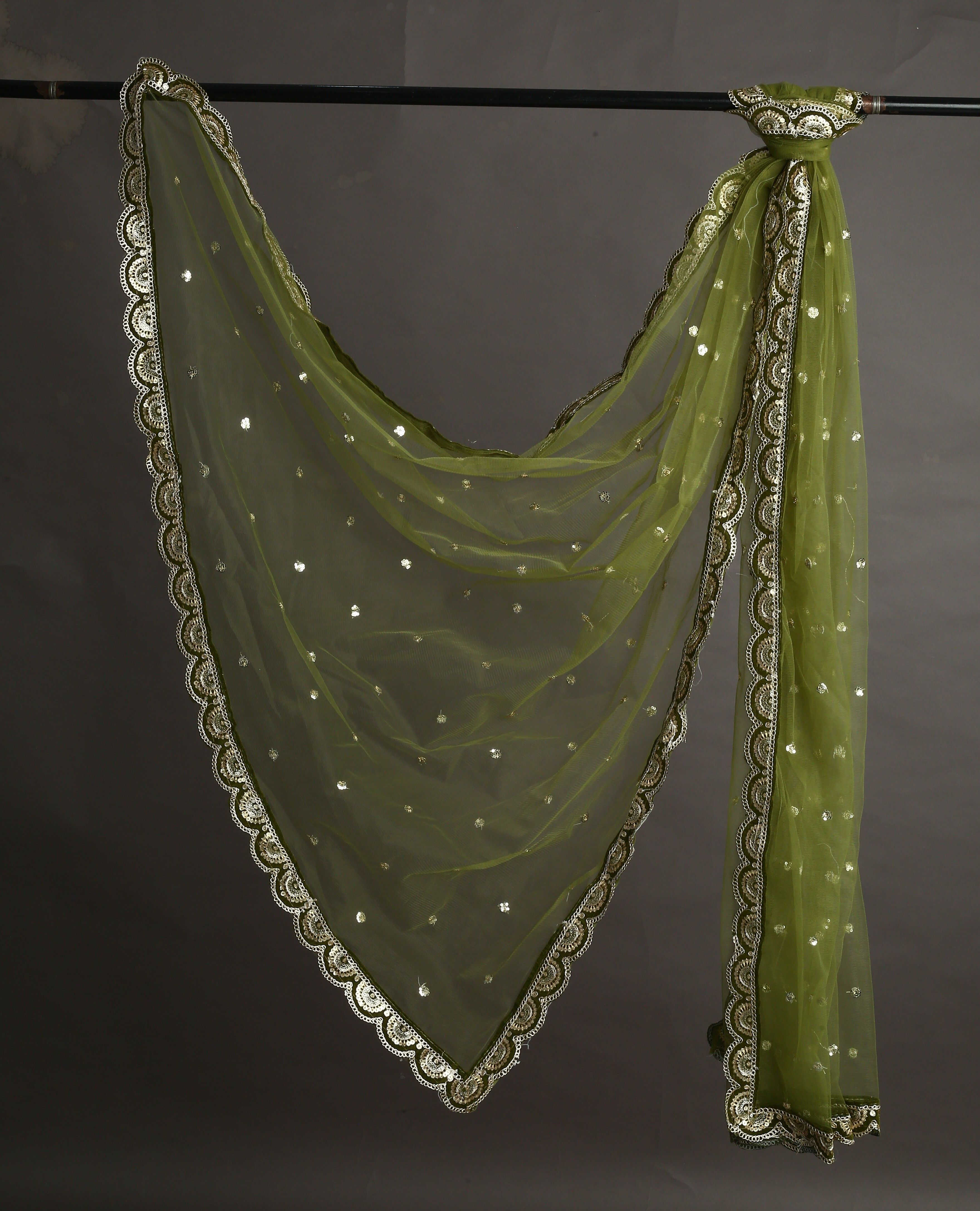 Net Embroidered Green Women Dupatta-image-35