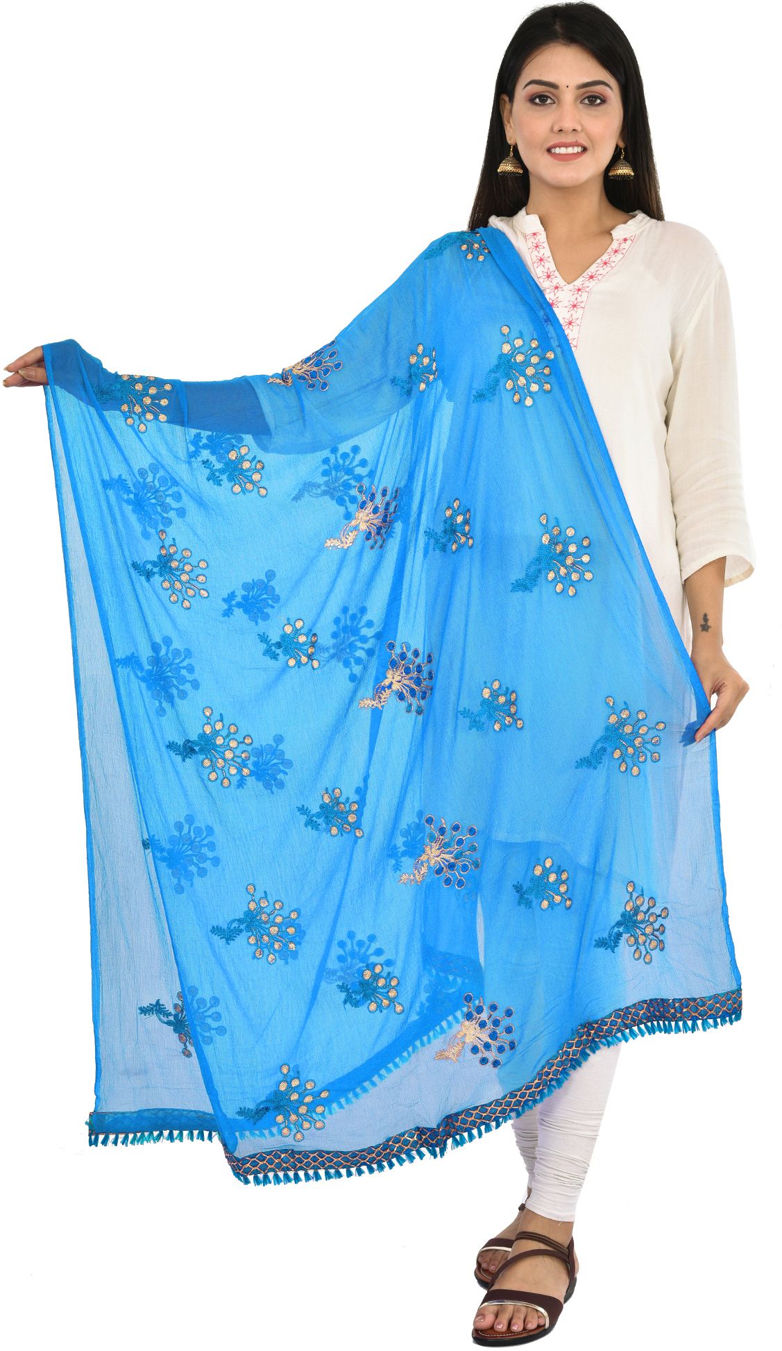 whiteheaven Chiffon Embroidered Light Blue Women Dupatta-picture-38