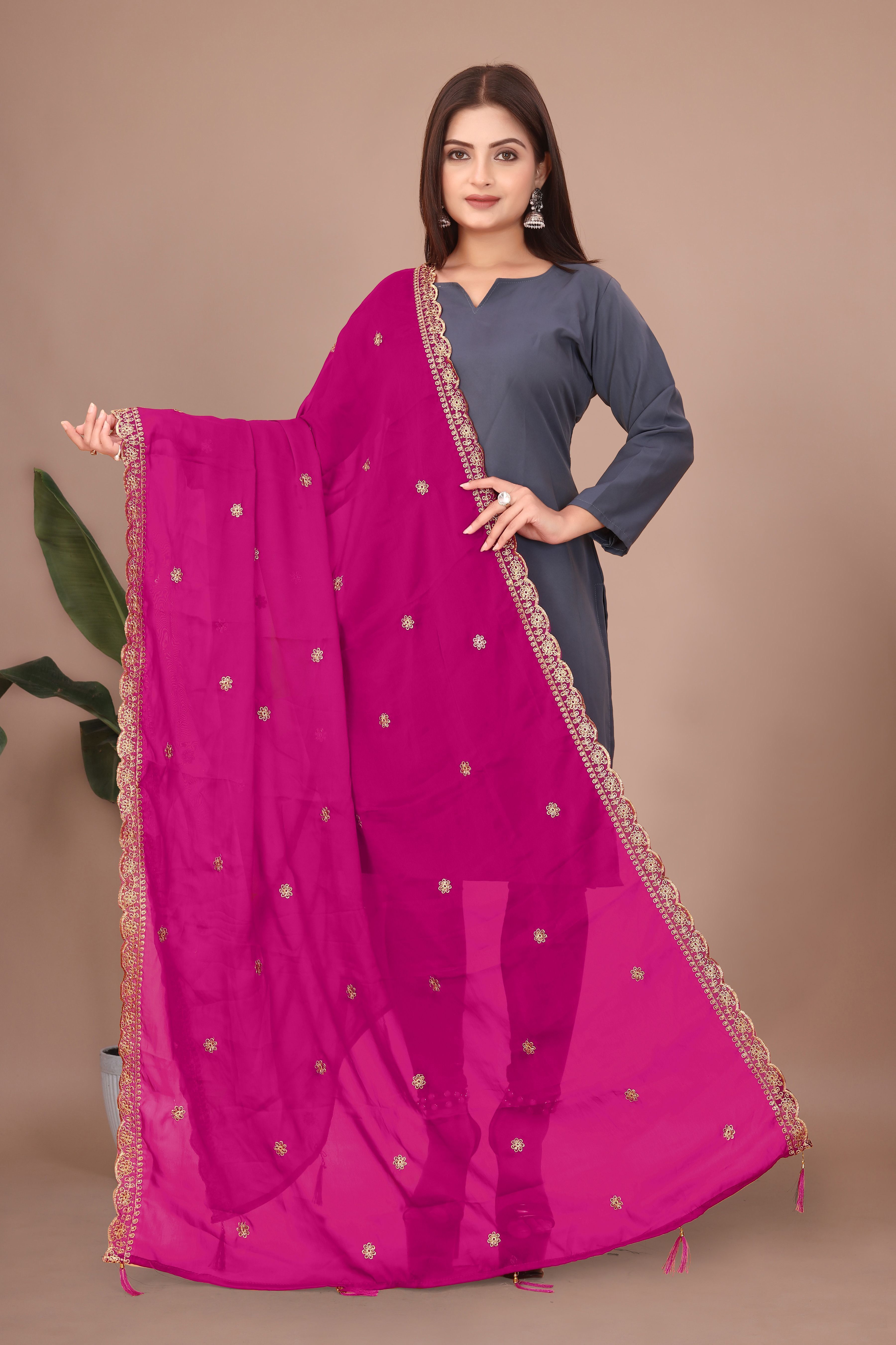 vastra Georgette Embroidered Pink Women Dupatta-picture-10