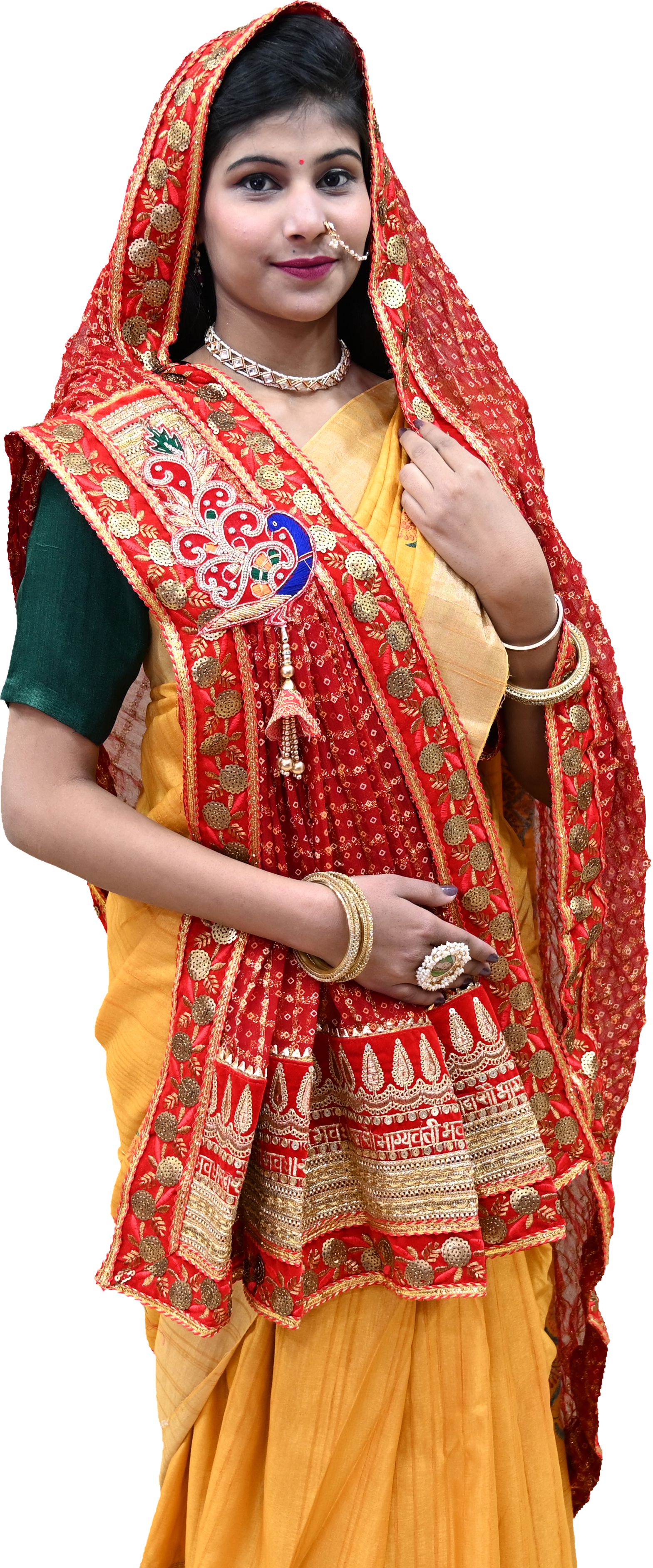 ranisatiya creation Georgette Embroidered Red Women Dupatta-picture-22