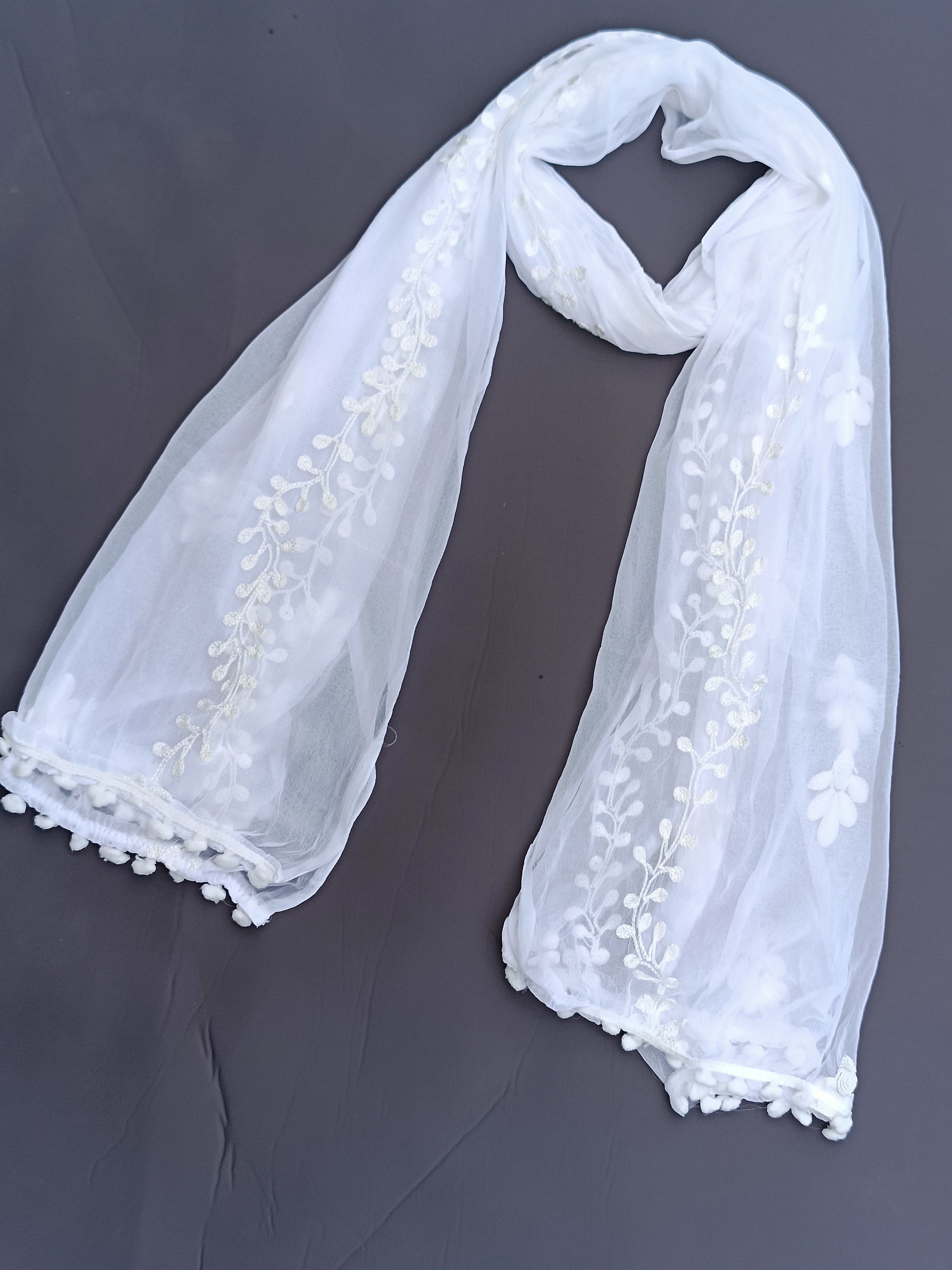 north fashion Chiffon Embroidered, Applique White, White Women Dupatta-picture-25