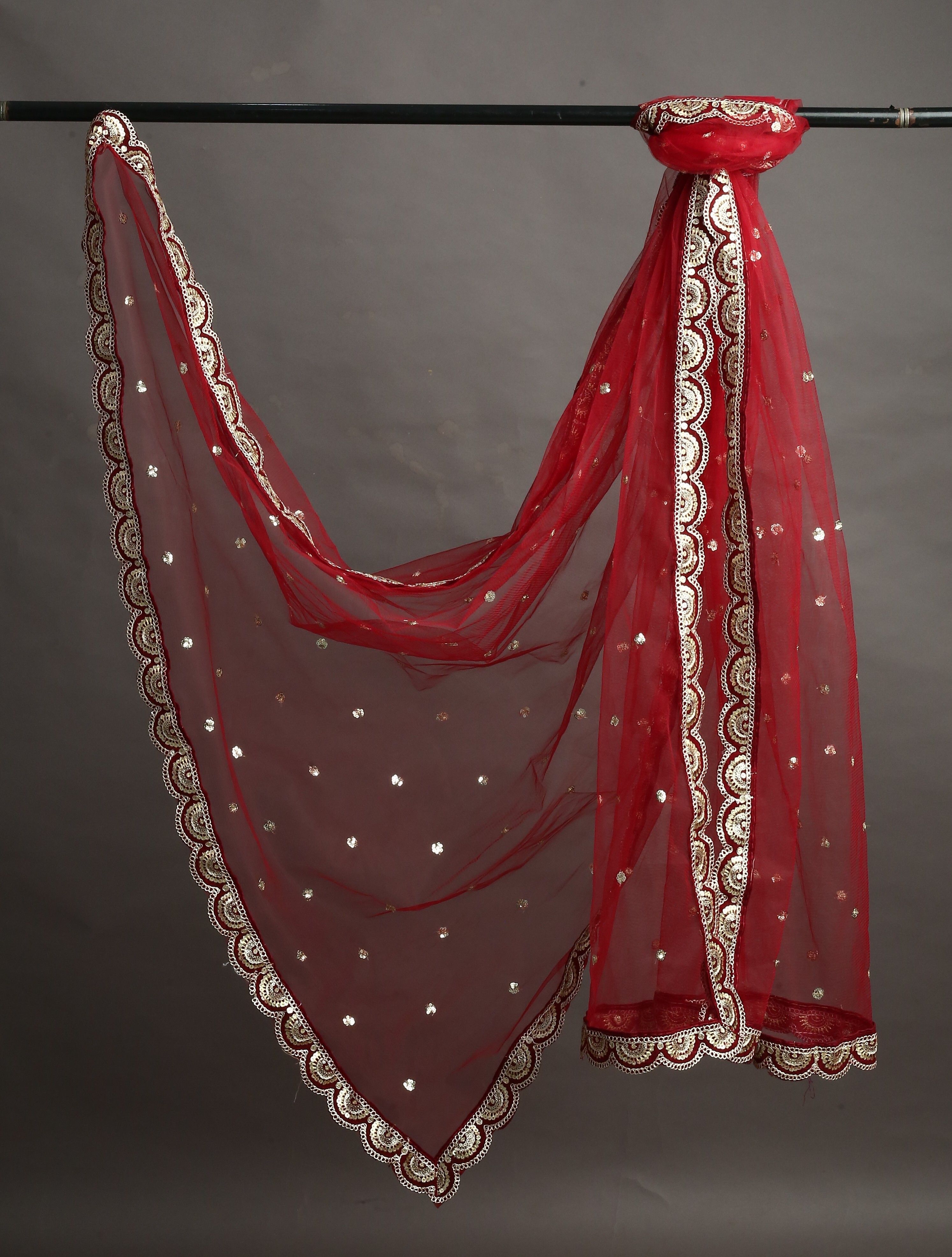 Net Embroidered Maroon Women Dupatta-image-32