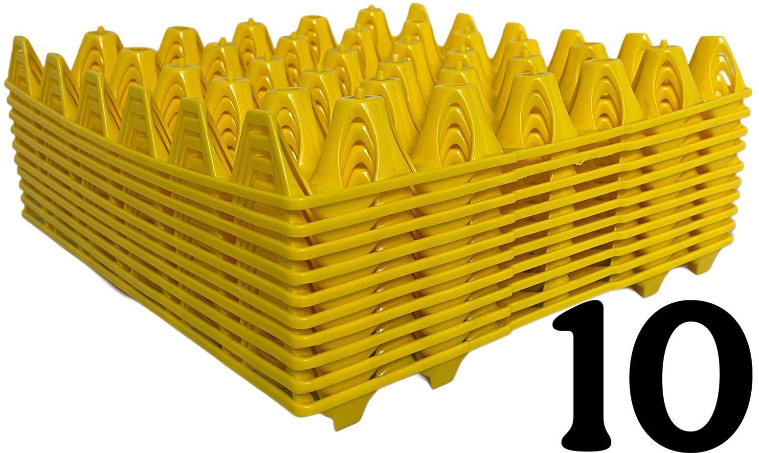 Egg holder Egg Holder