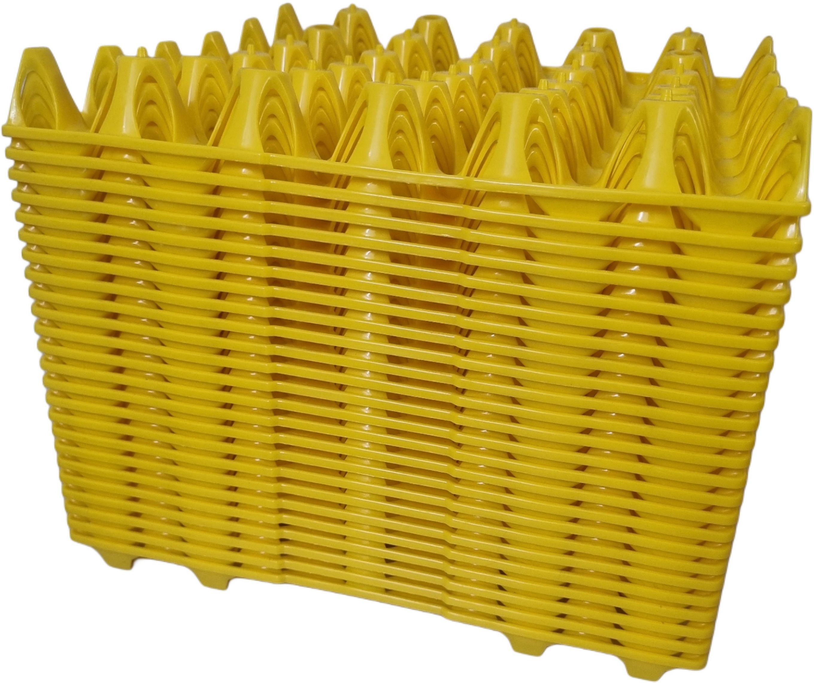 Egg holder Egg Holder