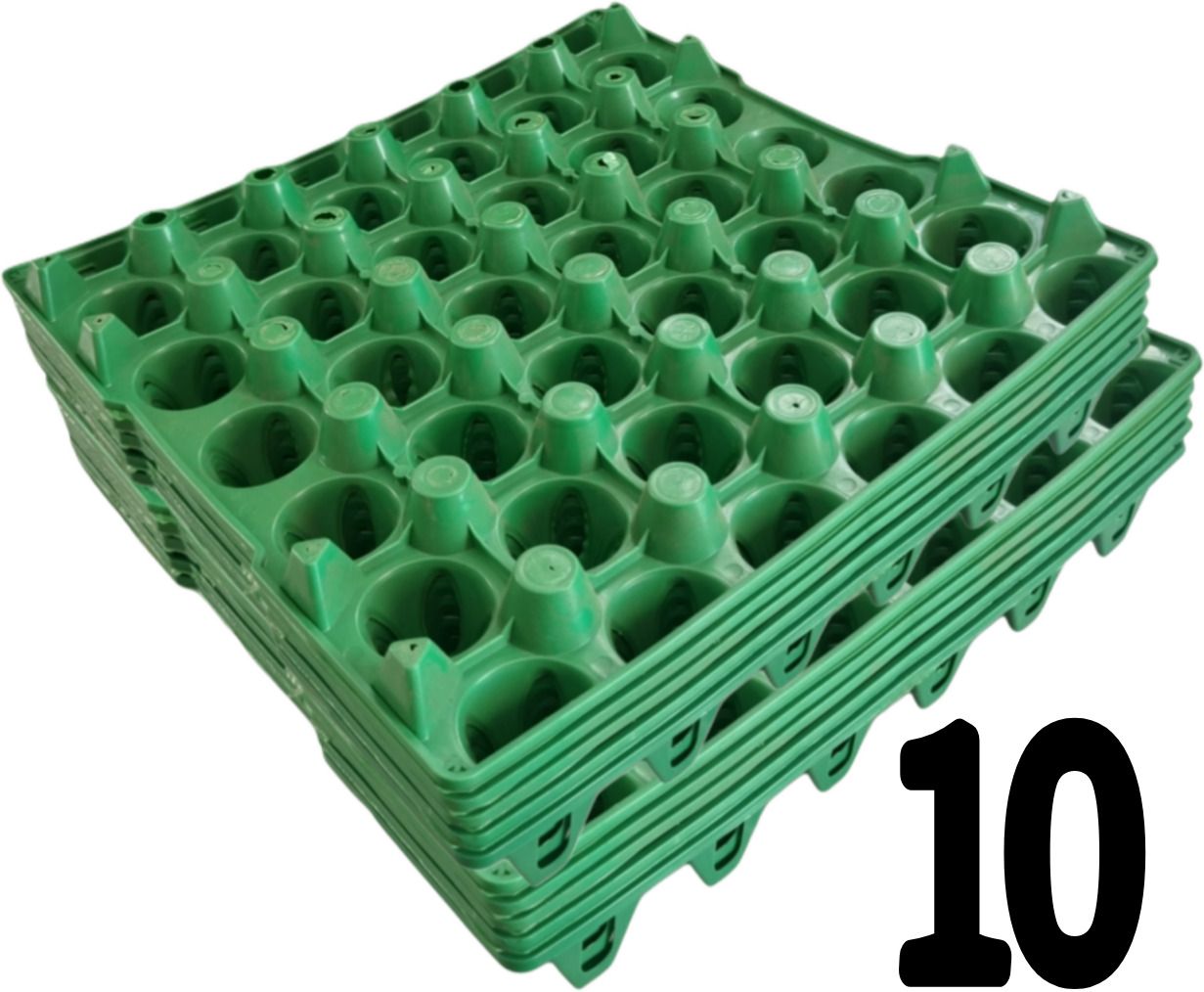 Egg holder Egg Holder