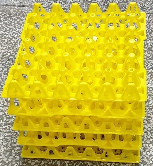 Egg container Egg Holder