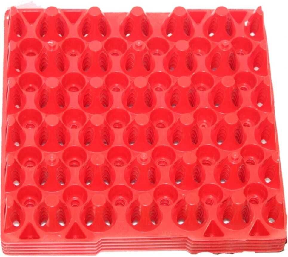 chetson Egg holder Egg Holder-picture-12