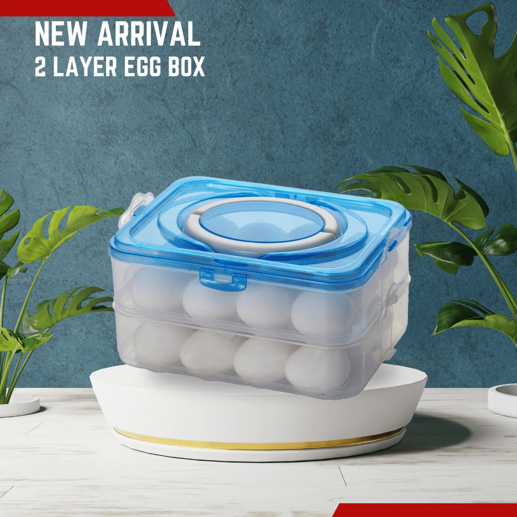 forback Egg holder Egg Holder-picture-39