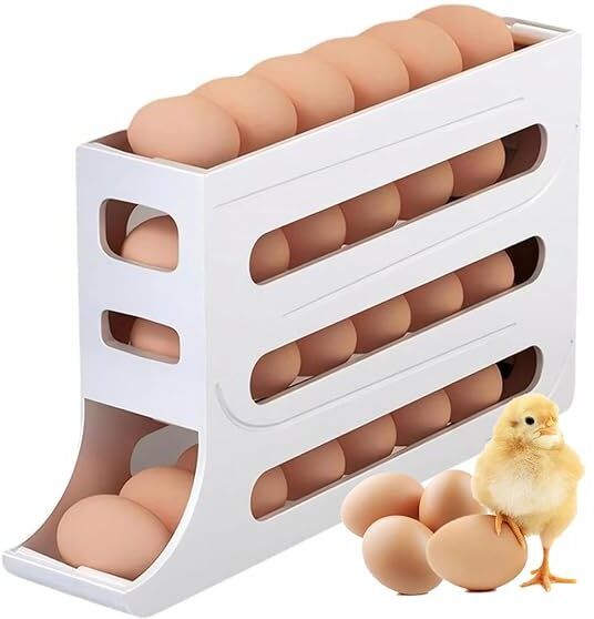 denisha Egg container Egg Holder-picture-29