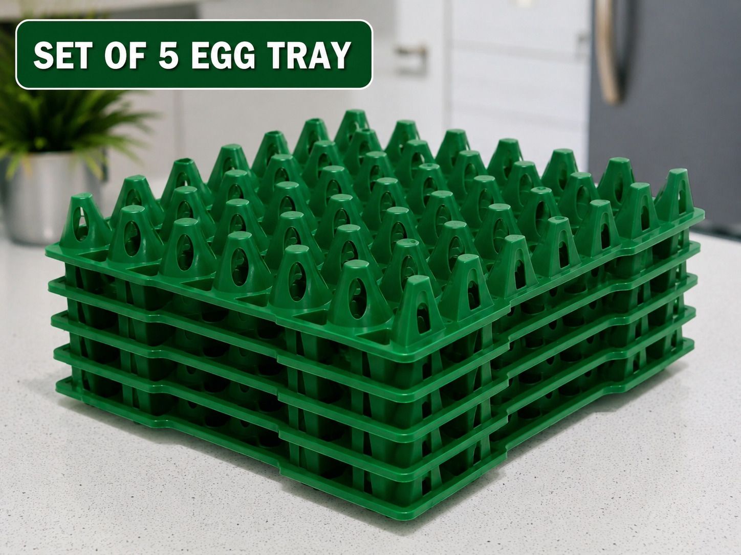 chetson Egg holder Egg Holder-picture-10