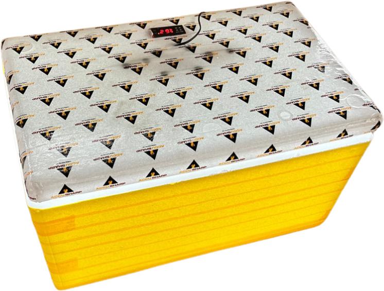humbe&co automatic temperature control STC 1000 semi auto 100 egg machine Egg Incubator-picture-15