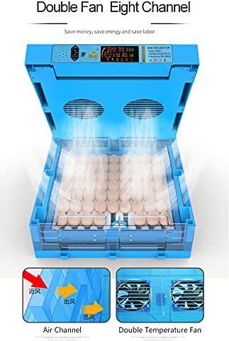 tm&w 64 egg supporting to all size egg Egg Incubator-picture-20