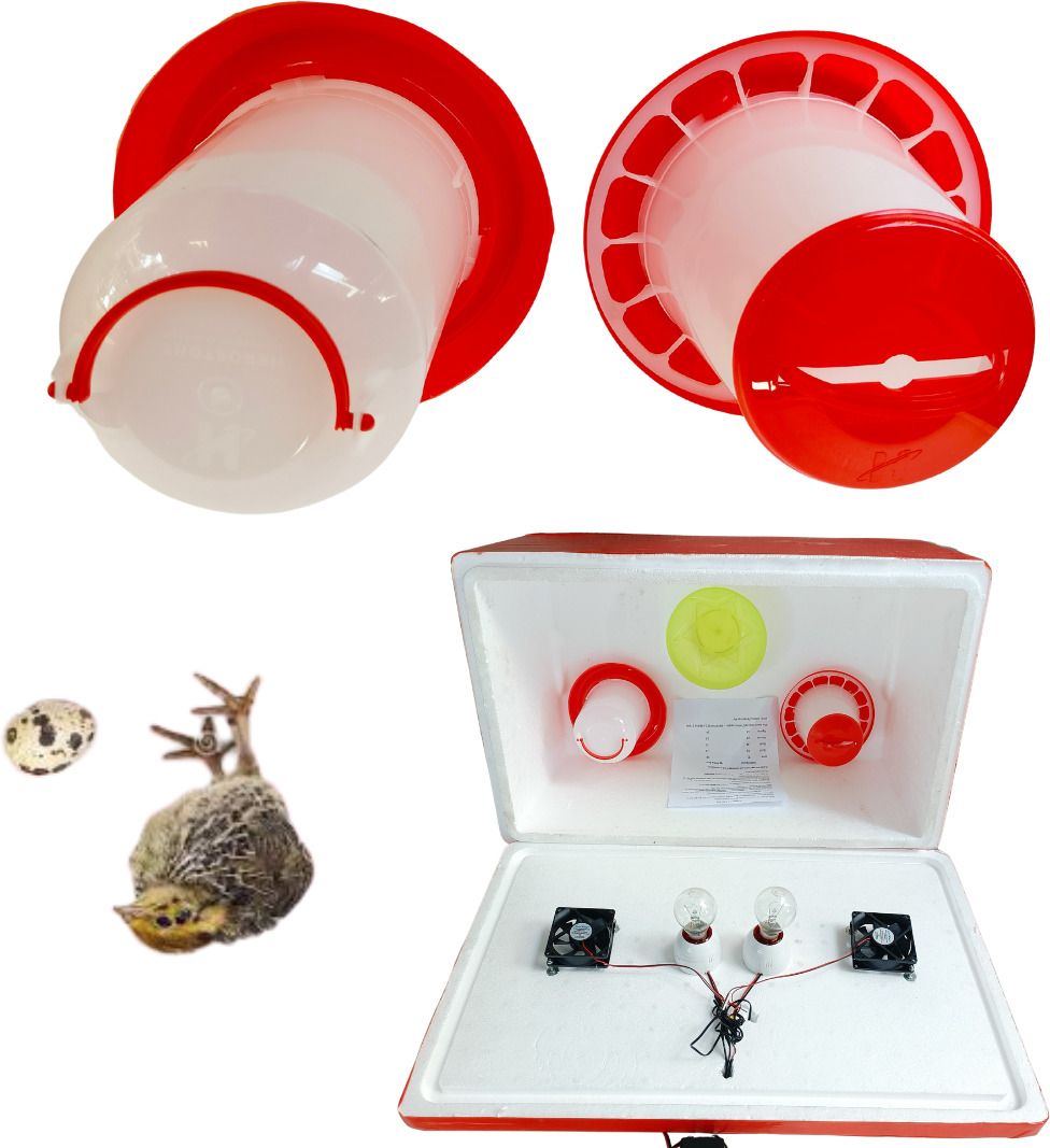 tm&w STC-1000 Egg Hatching Incubator TH material Body hatch 1 feeder 1 drinker Egg Incubator-picture-10
