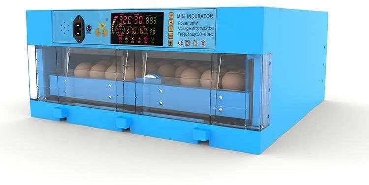 dali K R ENTERPRISES 64 Chicken Egg Automatic Digital Intelligent Egg Incubator-picture-11
