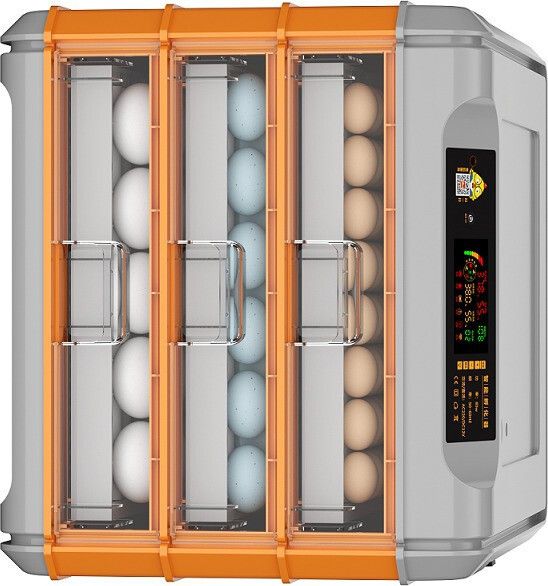 tm&w 192-OranD1-13 Egg Incubator-picture-11