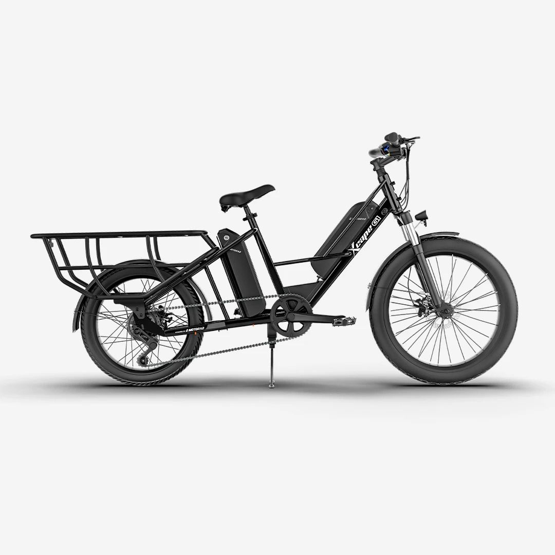 G1 Cargo Electric Cycle with Dual 48V 10.2Ah Removable Batteries | 250W Motor 24 inches Single Speed Lithium-ion (Li-ion) Electric Cycle