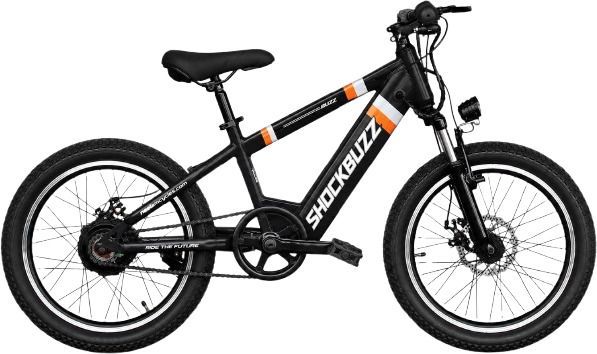 NEELAMShockbuzz-20T-5.2Ah 20 inches Single Speed Lithium-ion (Li-ion) Electric Cycle-image-8