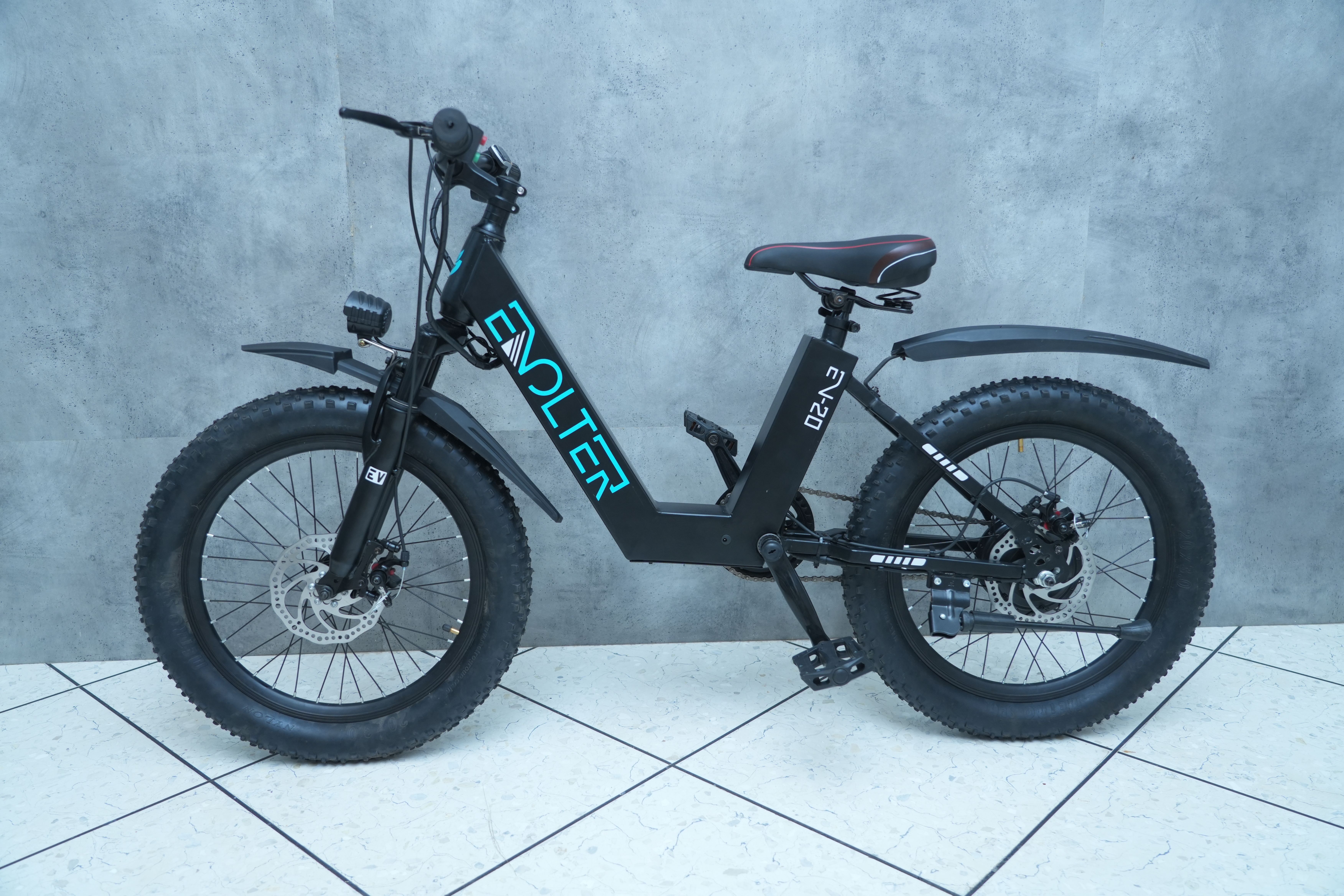 evolter EV-20 20 inches Single Speed Lithium-ion (Li-ion) Electric Cycle-picture-11