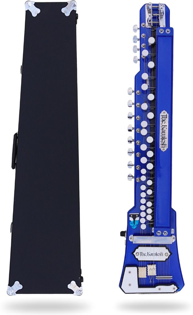 Indian Banjo (Bulbul Tarang) with Protective Box - 29Keys Electro-acoustic Guitar-image-29