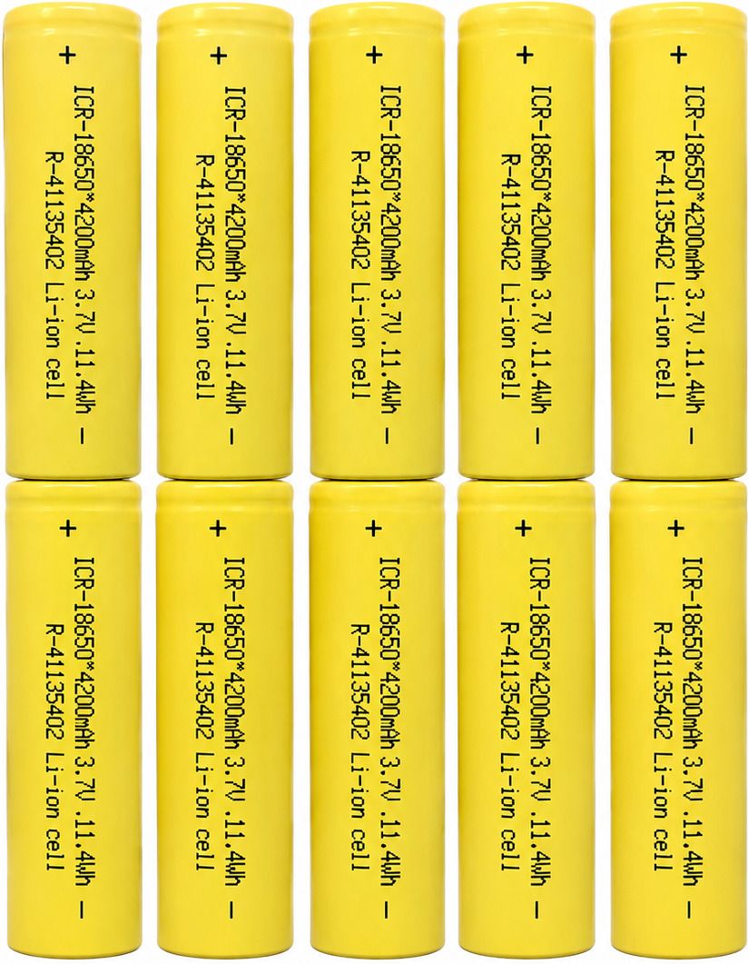 payalhouse Rechargeable Lithium-Ion 4200mAh Battery-picture-38
