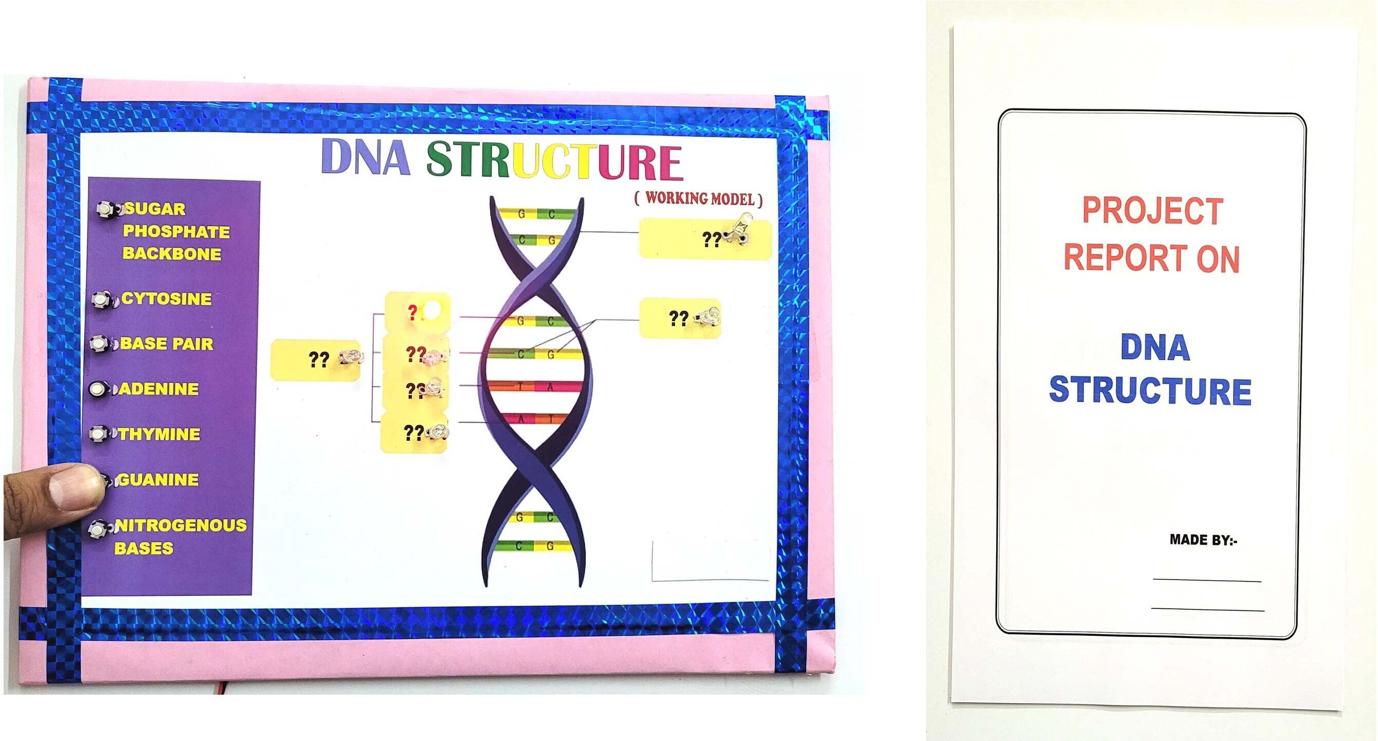 ontex electronics DNA Sequencing Structure Educational biology chemistry Working Project Model Educational Electronic Hobby Kit-picture-26