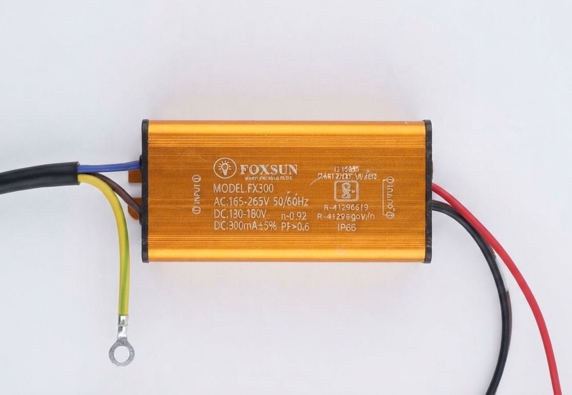 FOXSUN FX300 LED Driver 165-265V LED Module Electronic Hobby Kit-image-5