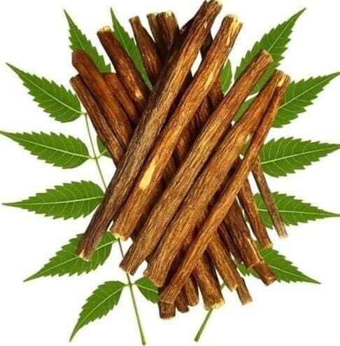 NEEMDATUN-, Pack of 15 Elevation Training Mask