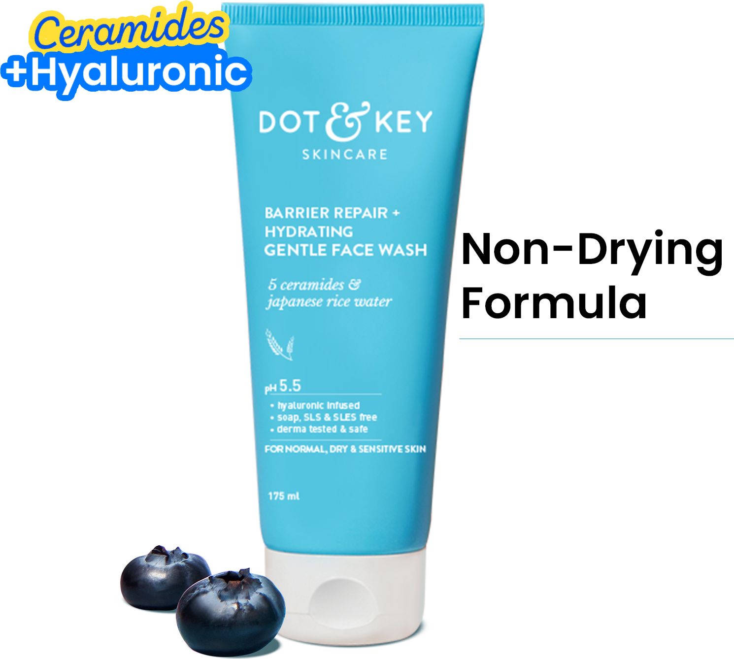 dot & key Barrier Repair + Hydrating GentleWith Probiotic| CeremideFace Wash-picture-12