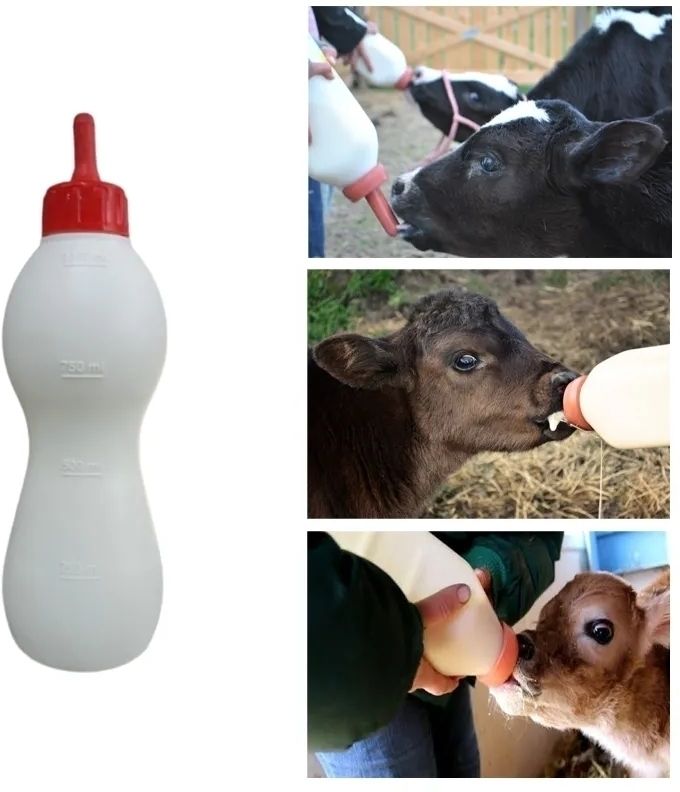 Bethlehem Calf Milk Feeding Bottle with Food Grade Quality Nipple 2 Litre Feeding Cloak