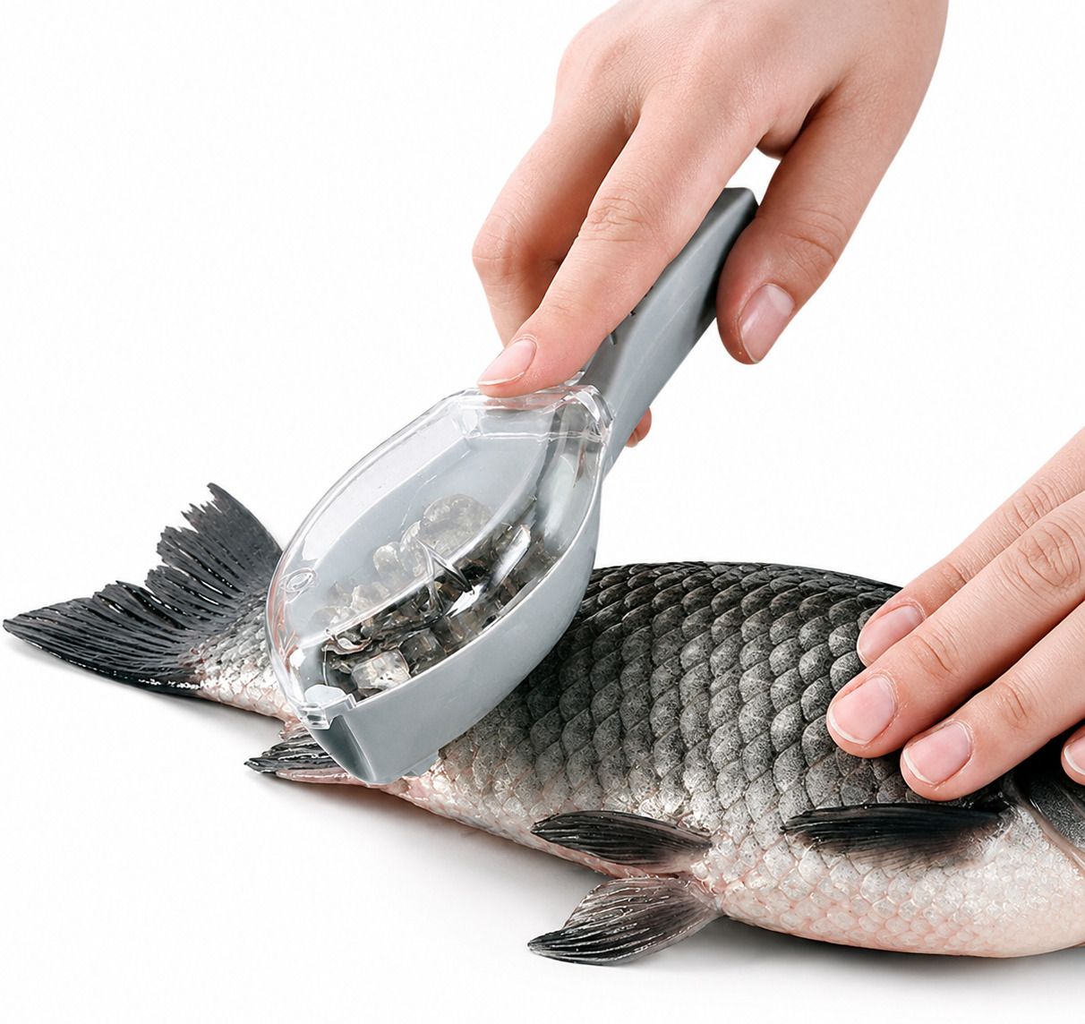 suvaniq Fish Scale Remover Scraper with Cover Stainless Steel Fish Skin Cleaning Tool Fish Scaler-picture-22