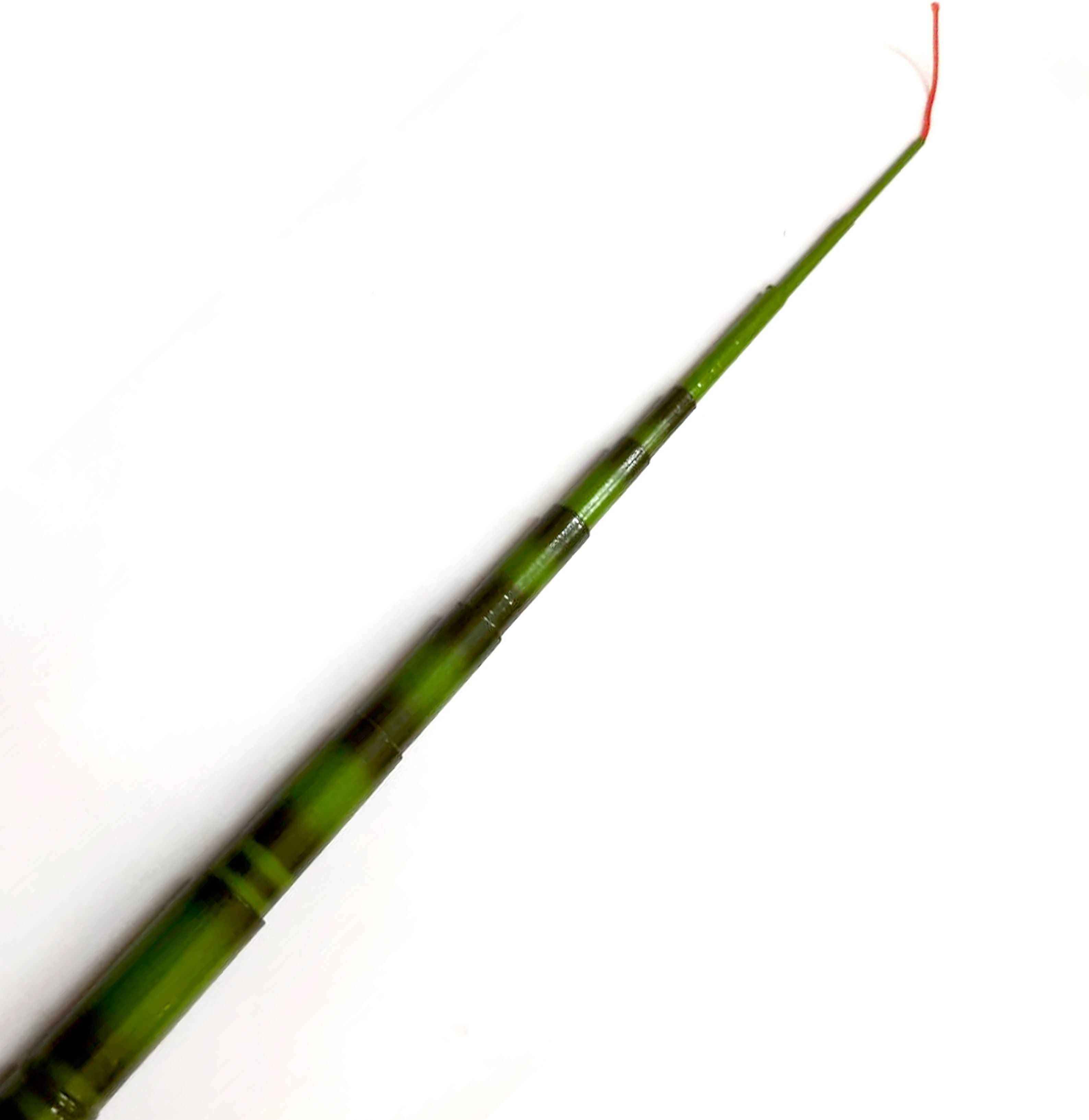 Fly fishing rod 300 cm 10 fit short size bega 300 fly rod SK164 Green Fishing Rod-image-10
