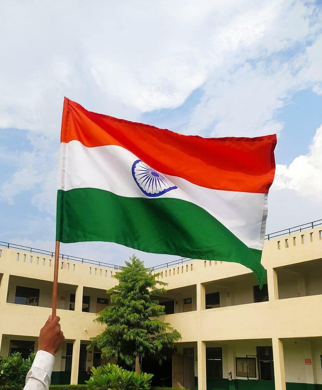 ivillage Indian National Flag Rectangle Outdoor Flag-picture-14