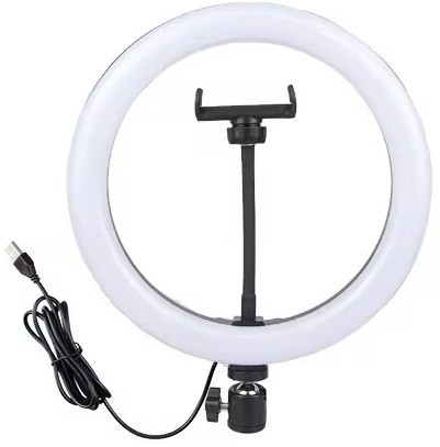 Techpunch Newest 10 Inch LED Selfie Ring Light Mobile Holder for Photo, Video3 mode Ring Flash image 1