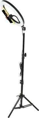 ZOPHORUS 10inch Led Selfie Ring Light with Stand, Big Led Camera Light with Cool Warm Mix Flash