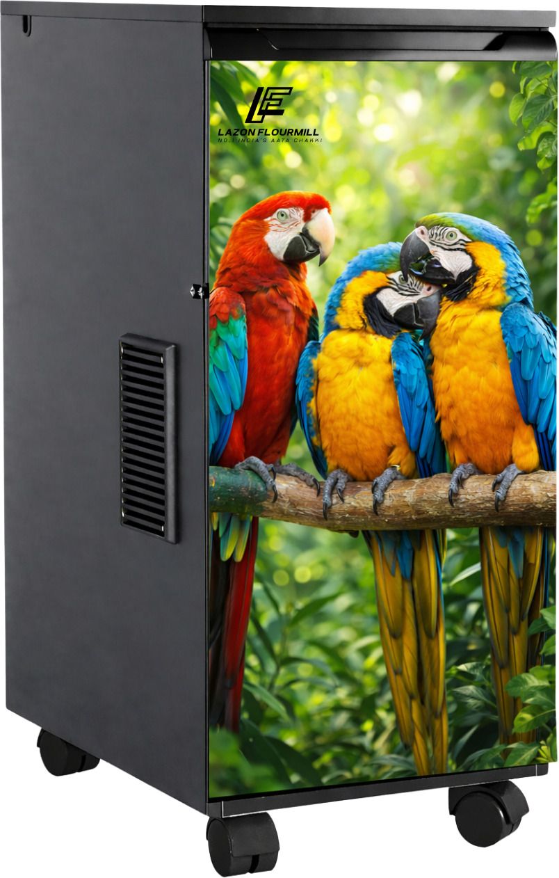 Classic Parrot Designed Fully Automatic 1 Hp Aata Chakki 1 Hp Modular Ghar Ghanti Flourmill-image-35