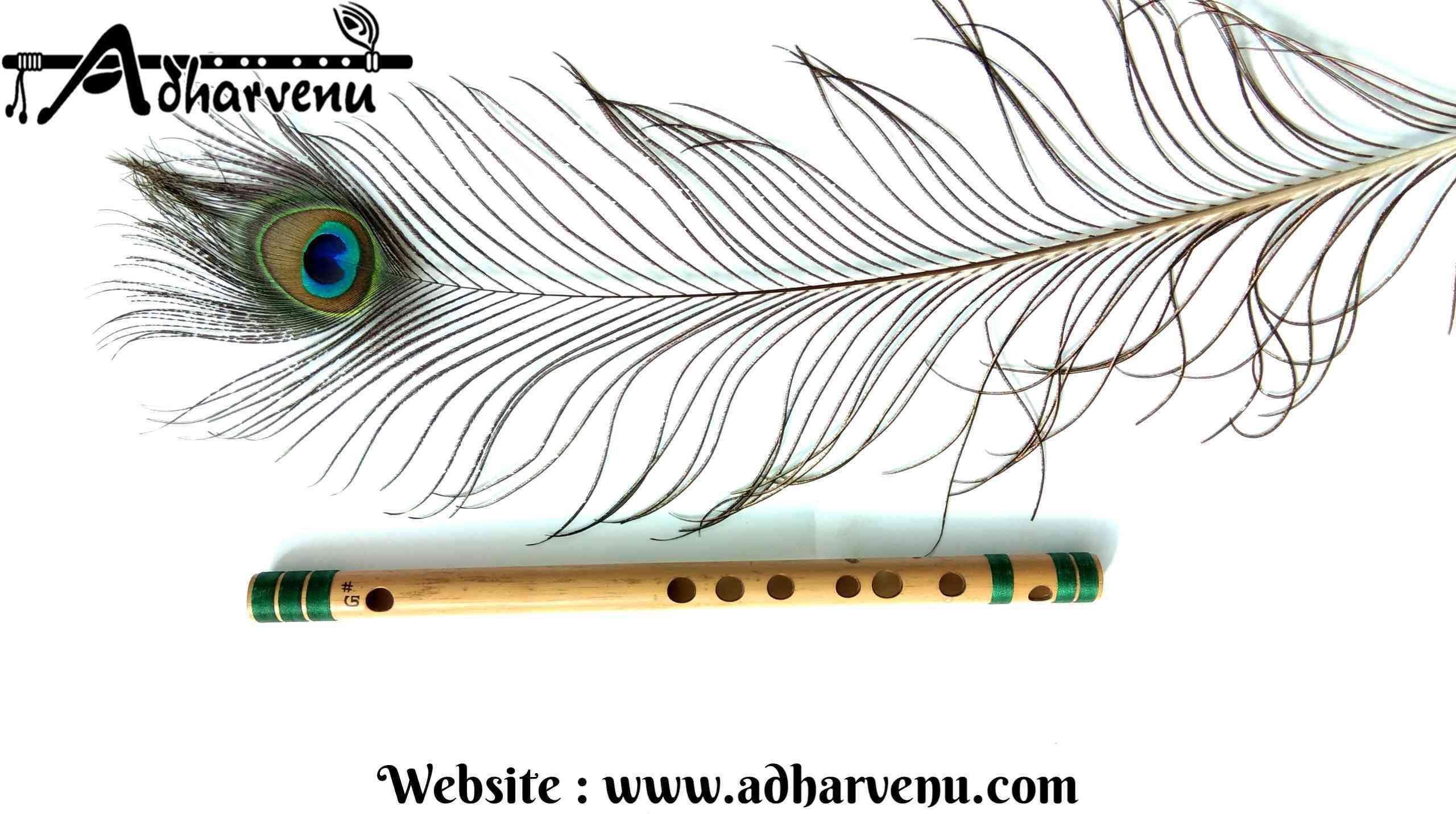adharvenu G# Small (12.5 Inches) - Right Handed Bamboo Flute-picture-16