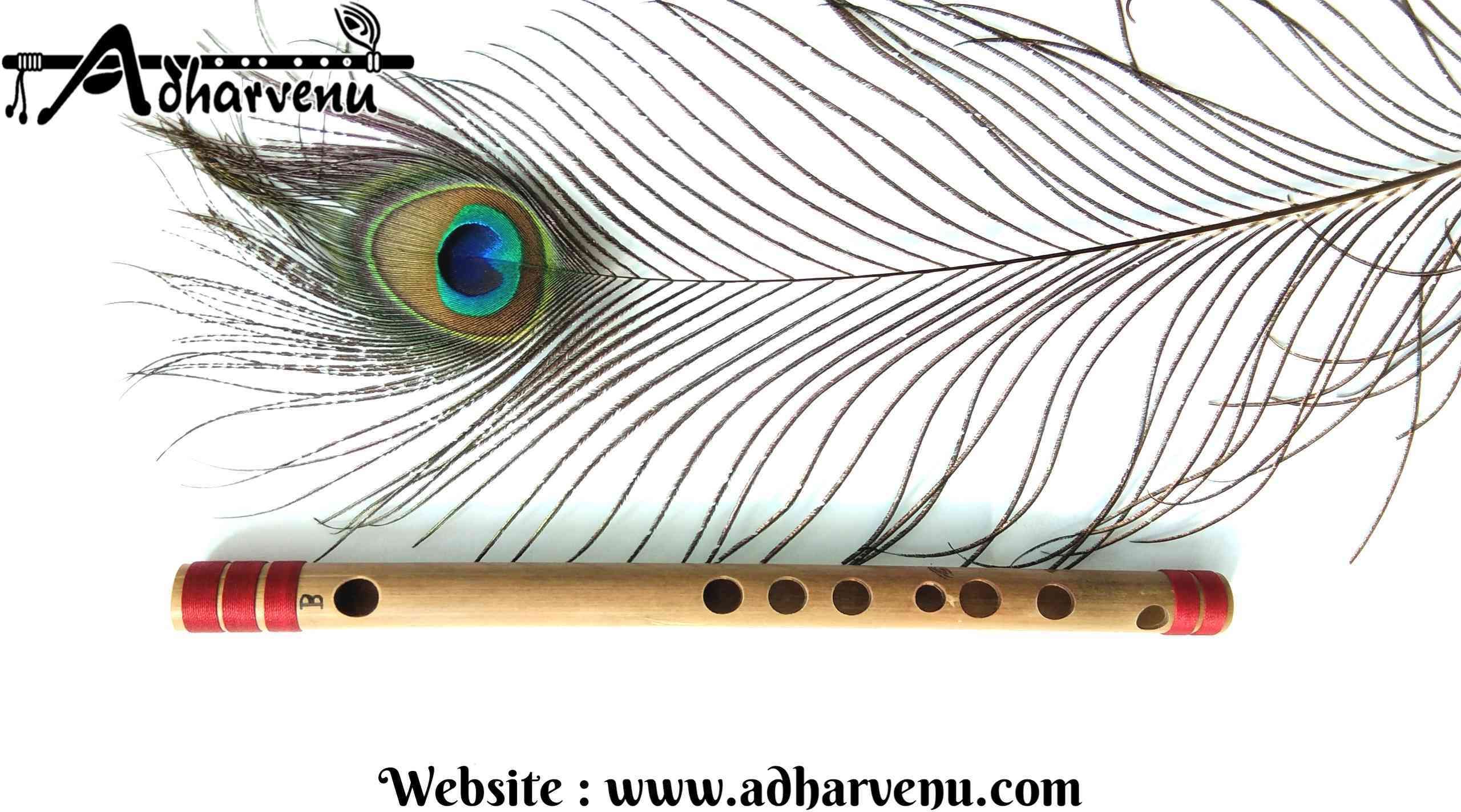 adharvenu B Natural Small (10 Inches) - Right Handed Bamboo Flute-picture-47