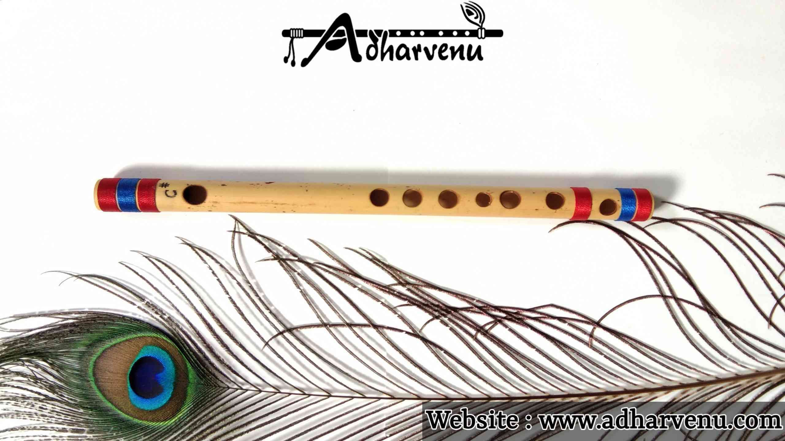 adharvenu C# Small (9 Inches) - Right Handed Bamboo Flute-picture-30