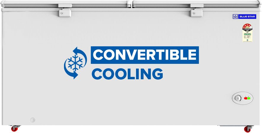 blue star 500.0 L Double Door Standard Deep Freezer-picture-14