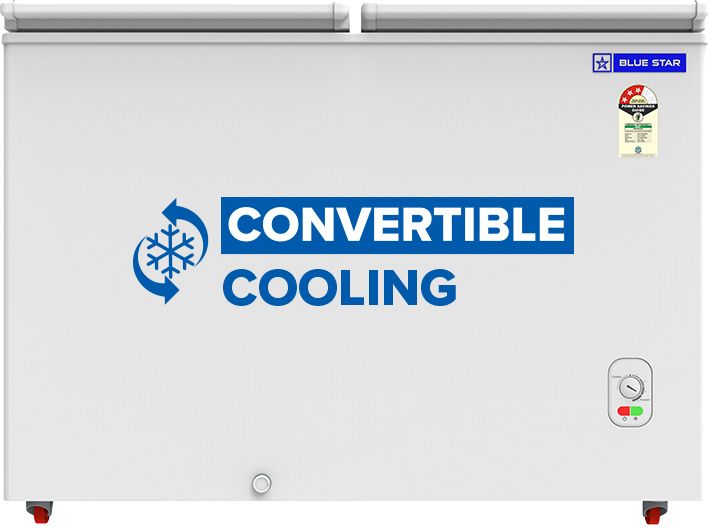 293.0 L Double Door Standard Deep Freezer-image-29