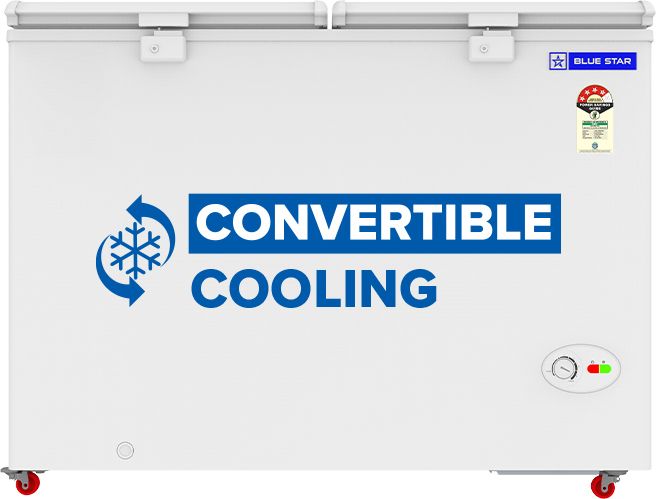 blue star 300.0 L Double Door Standard Deep Freezer-picture-13